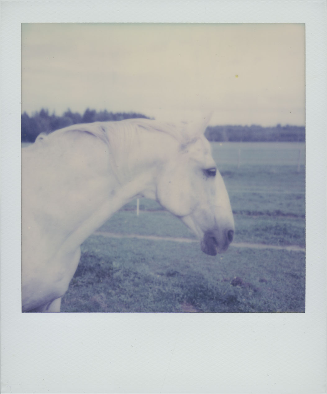 Polaroid SX-70 